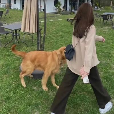 伞学院第三季